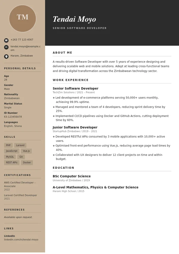Professional CV template with sample professional experience, education and skills
