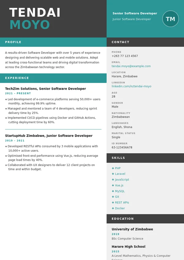 Technical CV template with sample professional experience, education and skills